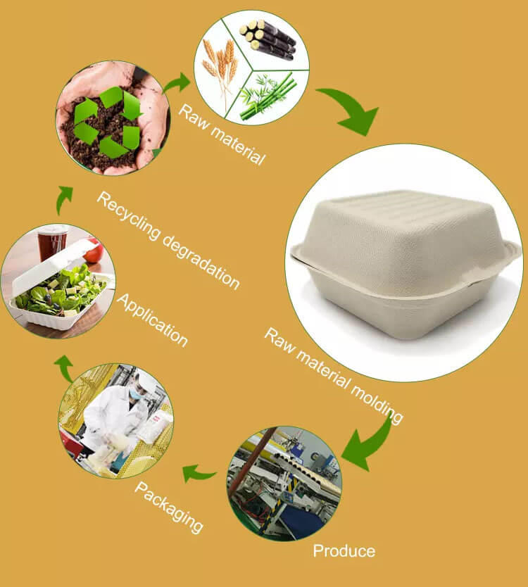 biodegradable clamshell containers