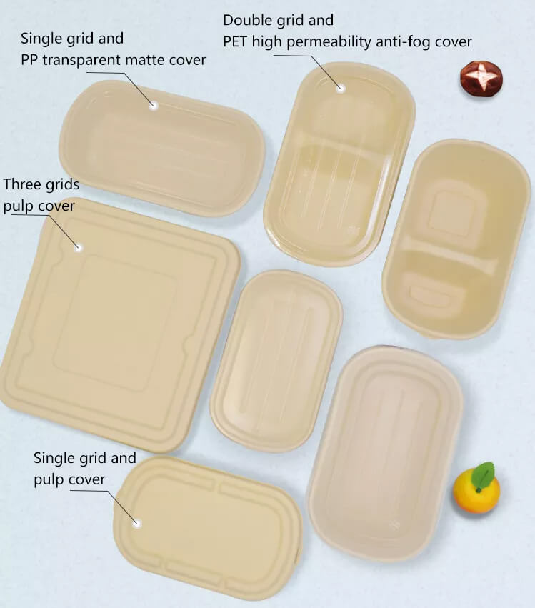 disposable containers for food