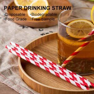 paper cocktail straws