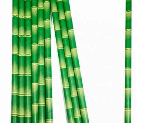 Bamboo Paper Straws for Party