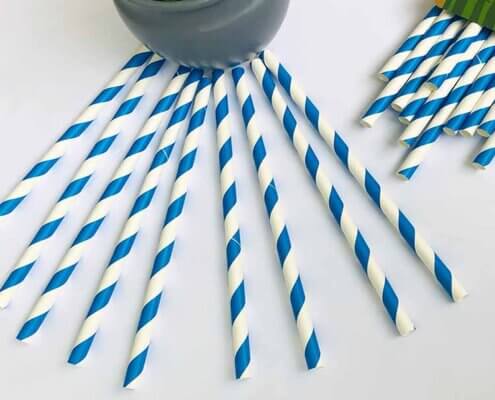 Navy Blue Striped Straws