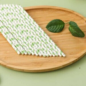 Party Paper Straws