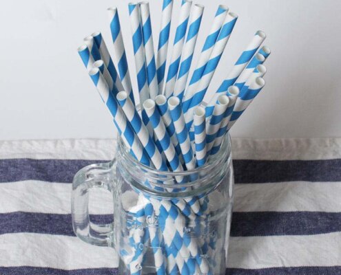 Biodegradable Paper Straws