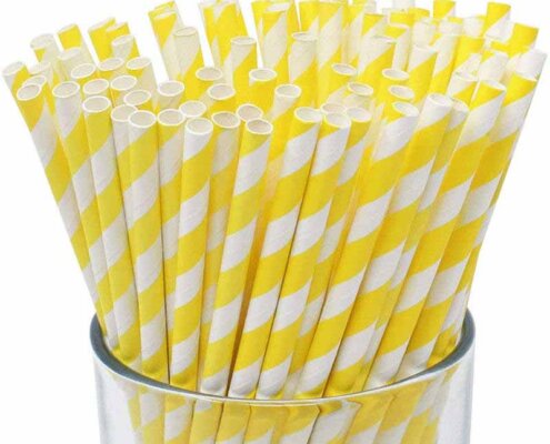 Bulk Paper Straws