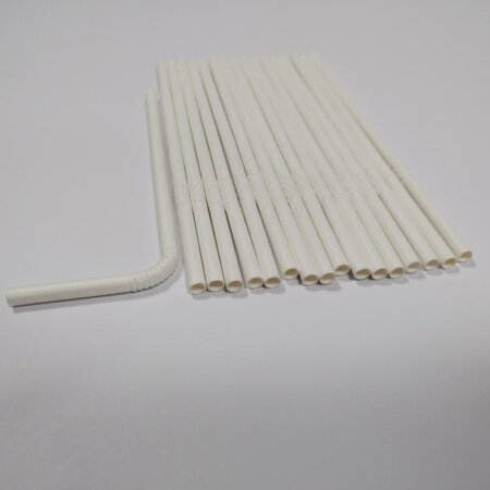 Craft Paper Straws