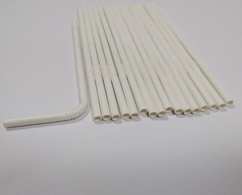 Craft Paper Straws