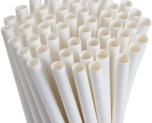 Eco Straws