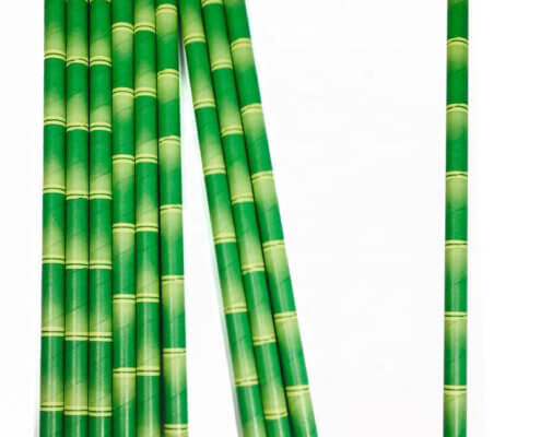 Paper Bamboo Straws