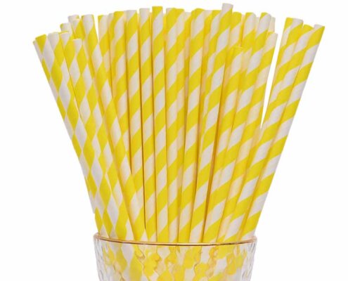 Paper Straws Made in USA
