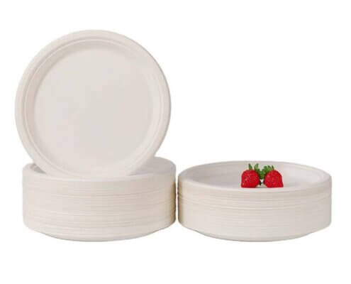 10'' Compostable Plates for Wedding