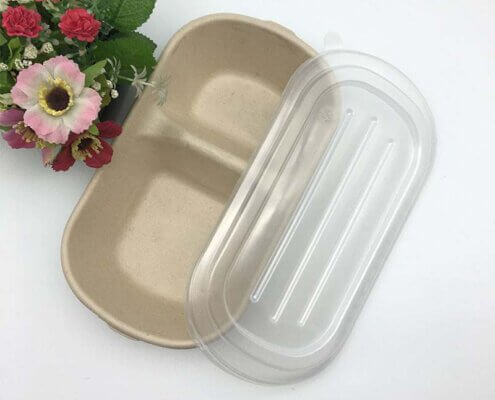 2 Compartment 1000ml Eco Friendly Food Containers