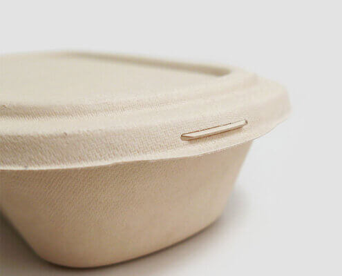 2 Compartment 850ml Compostable Food Containers