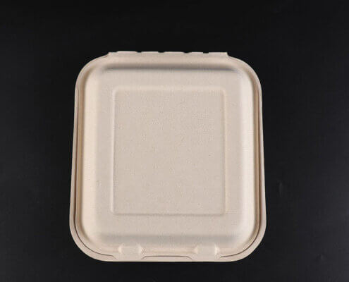 8'' x 8'' Biodegradable To Go Containers