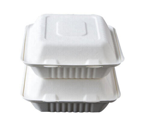 9'' x 9'' Hinged Take Out Containers