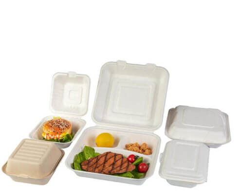 9'' x 9'' Three Compartment Hinged Food Container