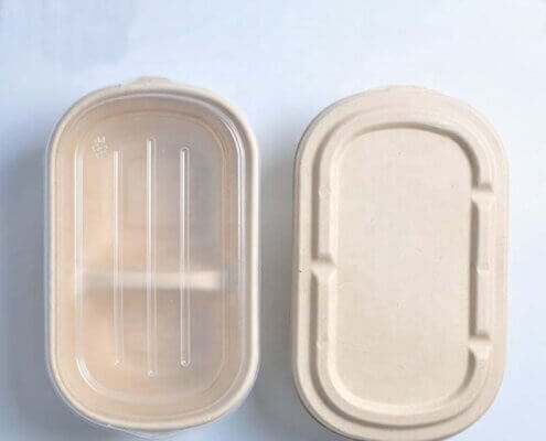 Biodegradable Containers with Lids