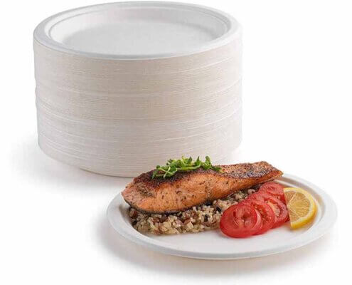 Biodegradable Dinner Plates