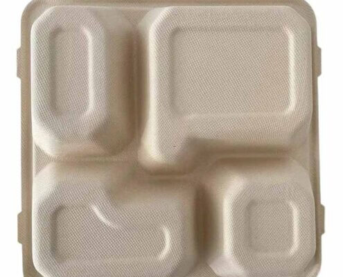 Biodegradable Disposable Food Trays