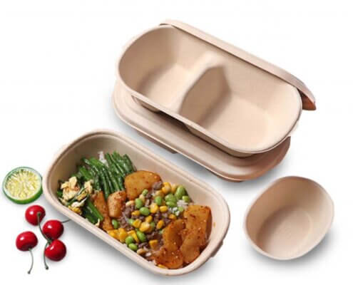 Biodegradable Food Container