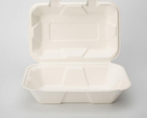 Biodegradable Food Container