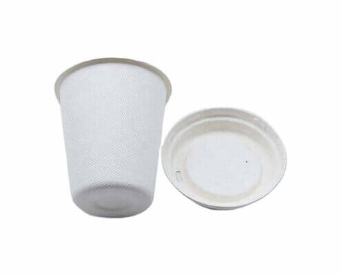 Biodegradable Hot Cups