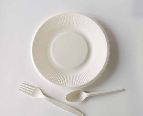Biodegradable Plates Wedding