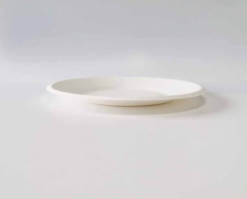 Biodegradable Plates and Cups Manufacturers