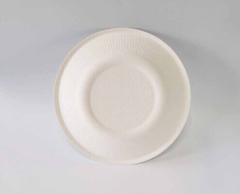 Biodegradable Plates and Utensils