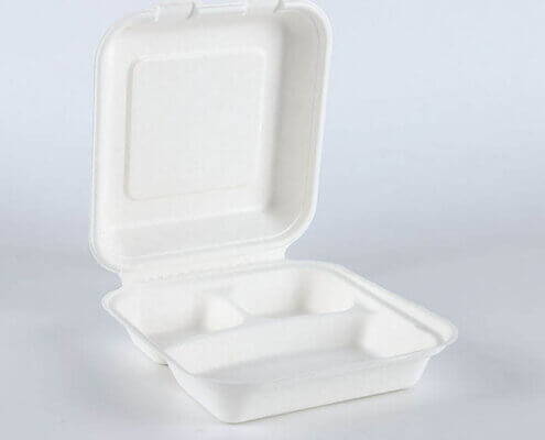 Biodegradable Take Out Container