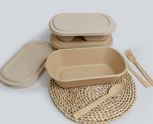 Biodegradable To Go Food Containers