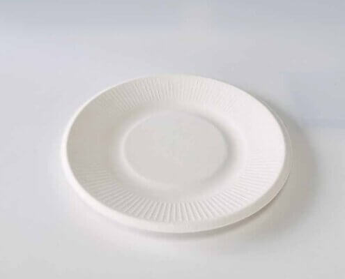Biodegradable Wedding Plates