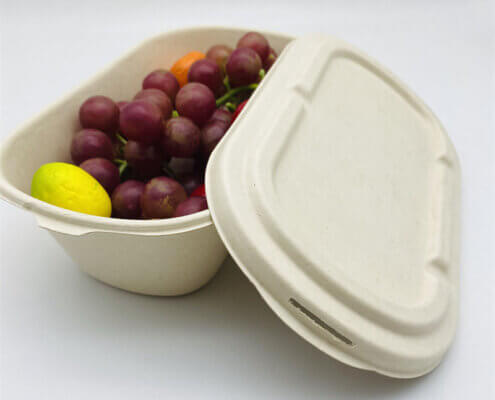 Compostable Containers for Food