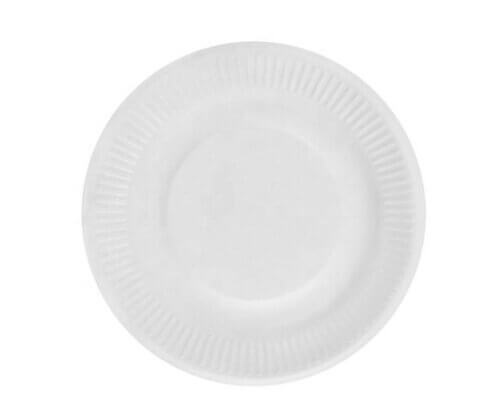 Compostable Disposable Plates