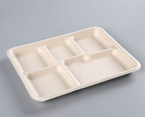 Eco Friendly Disposable Food Tray