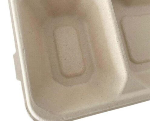 Eco Friendly Lunch Trays for Schools