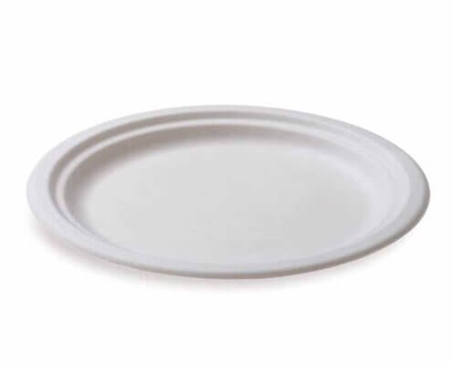 Oval Disposable Plates