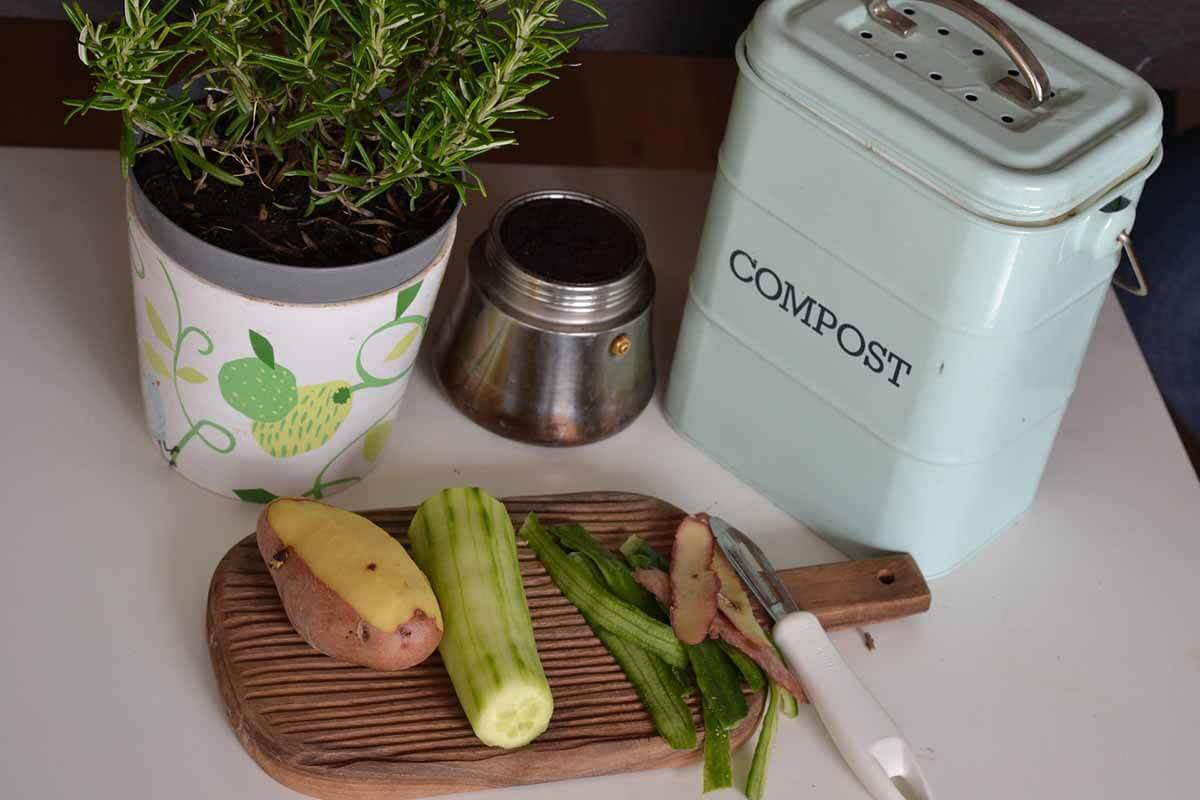 Compostable and Sustainable Solution