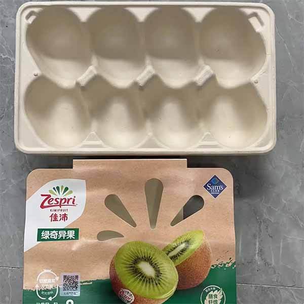 Bagasse Packaging for Fruit