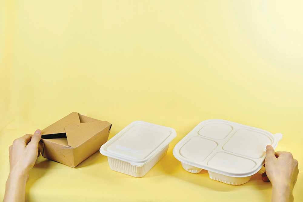 Multi-Compartment Bento Boxes