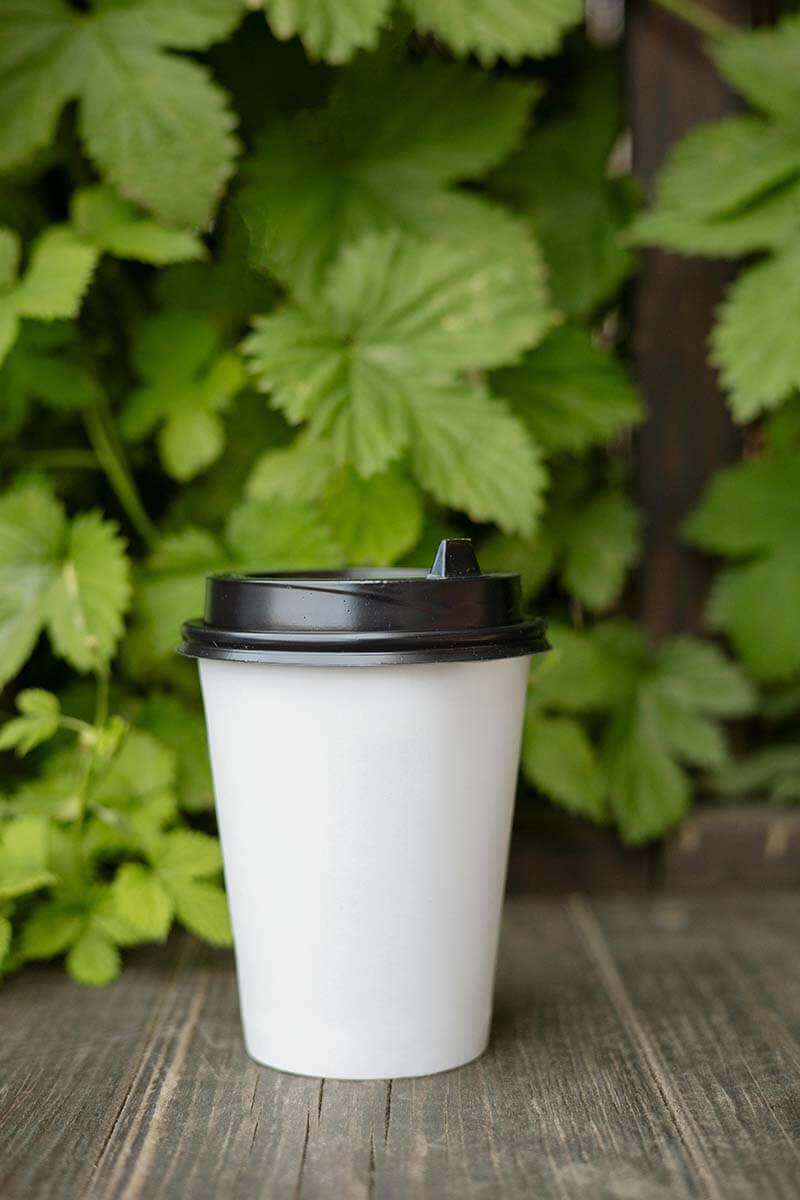 compostable cups bulk