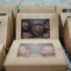 custom candy boxes