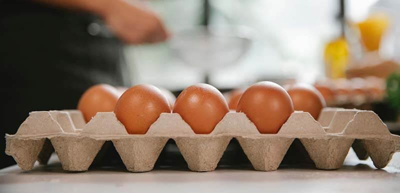 Sustainable Packaging for a Better Life and Business egg cartons egg cartons