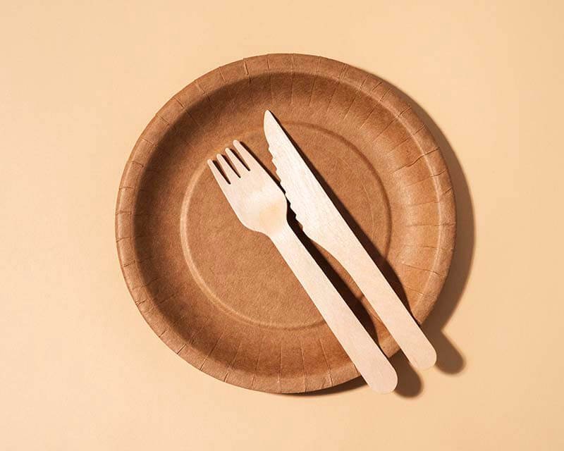 Disposable Paper Plates