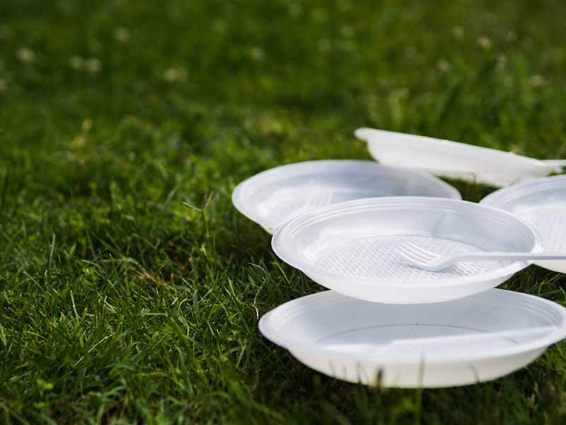 Disposable dinner plates