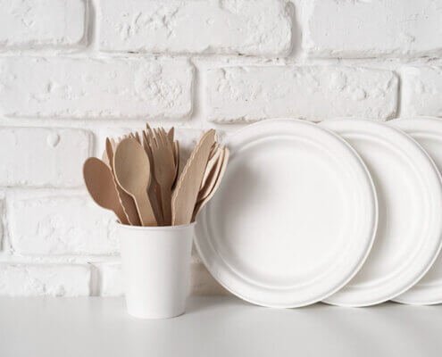 Your Guide to Disposable Dinner Plates for Different Events