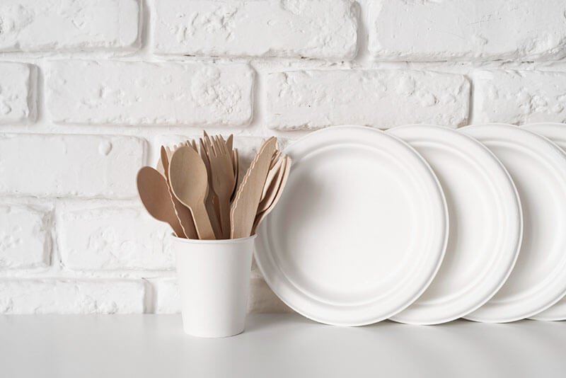 Your Guide to Disposable Dinner Plates for Different Events