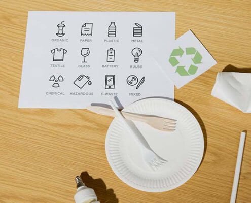The Complete Guide to Biodegradable Food Packaging sugarcane plates sugarcane plates