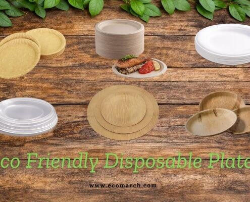 The Complete Guide to Biodegradable Food Packaging Eco Friendly Disposable Plates Eco Friendly Disposable Plates