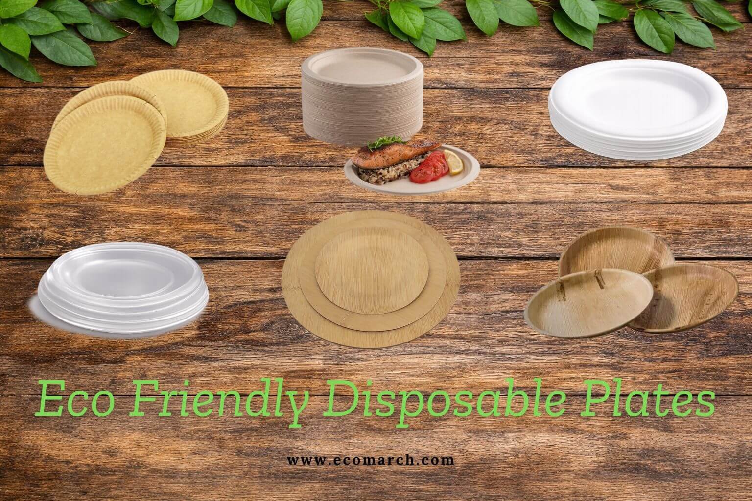 Eco Friendly Disposable Plates