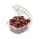 The Complete Guide to Clamshell Containers